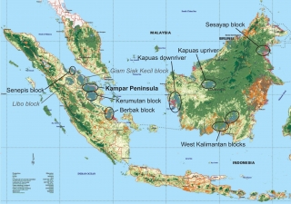 Kuva 1. Länsi-Indonesian jäljellä olevat suosademetsäalueet